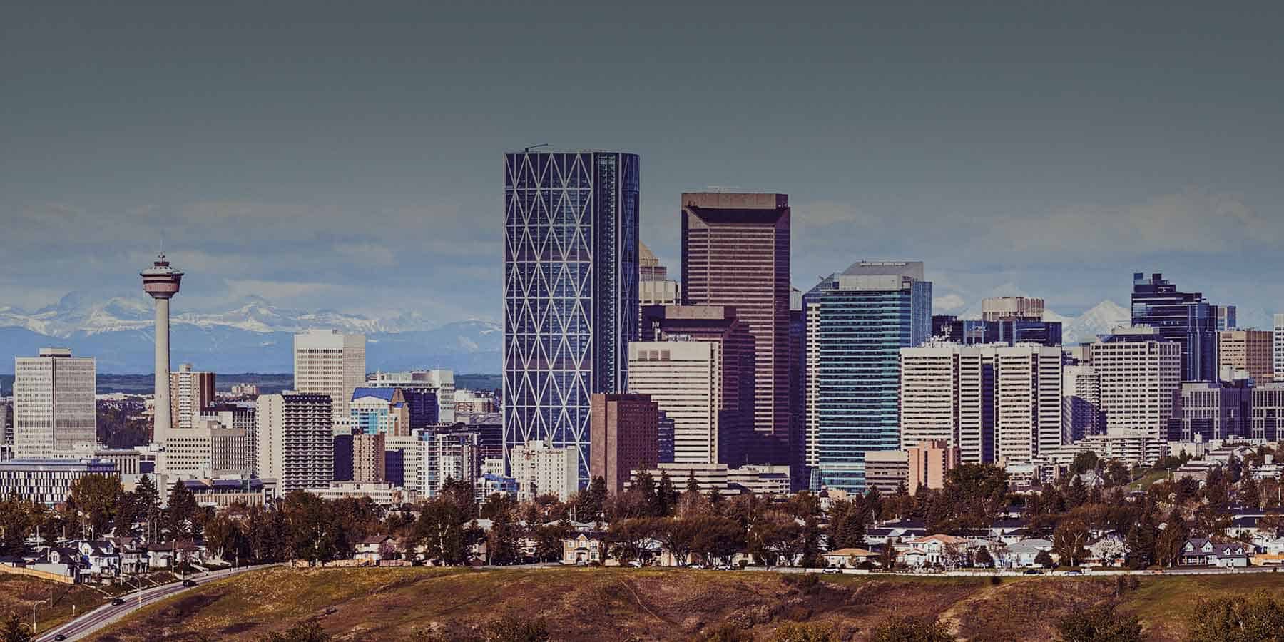 commercial-and-residential-tree-service-calgary-arborcare