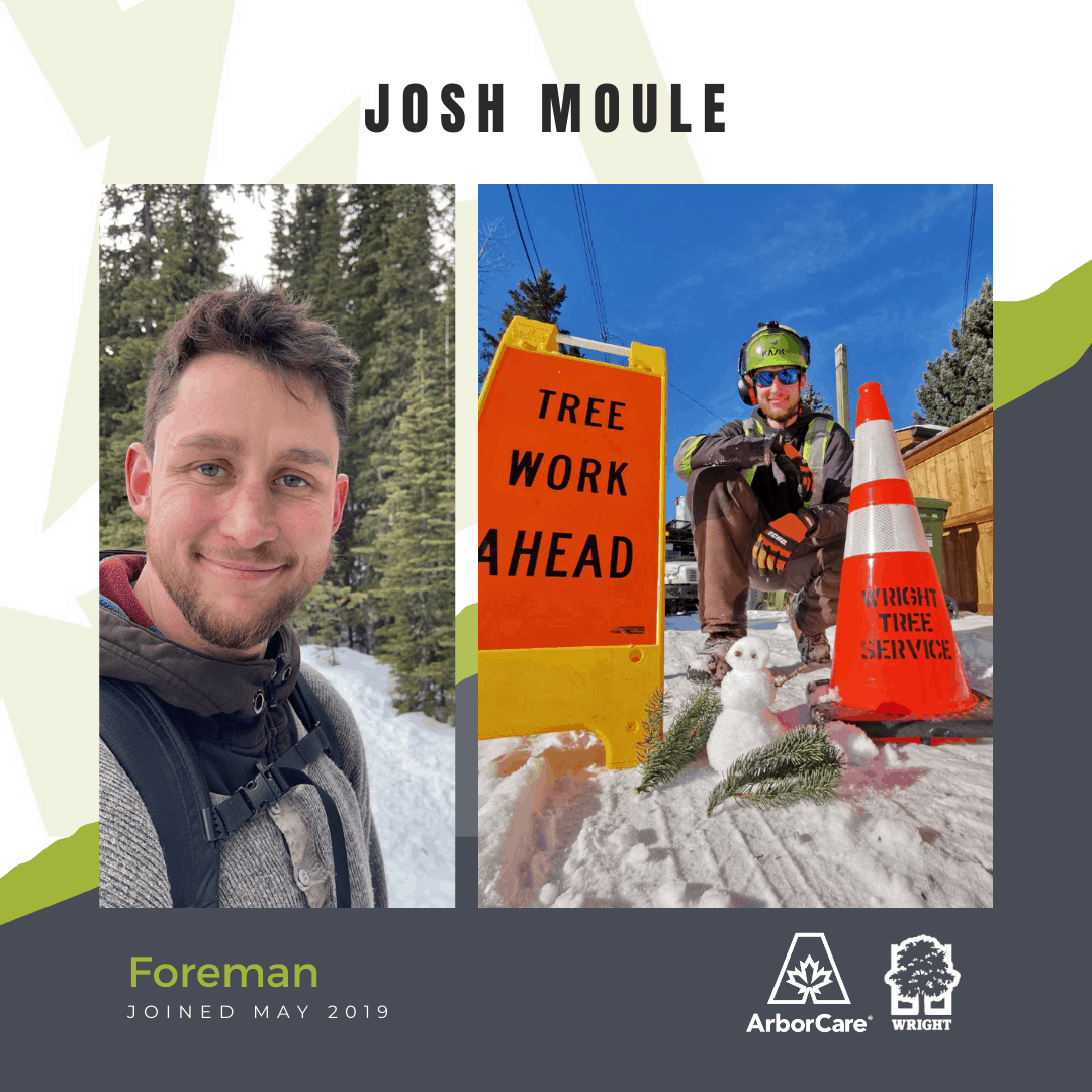 Josh Moule Employee Spotlight