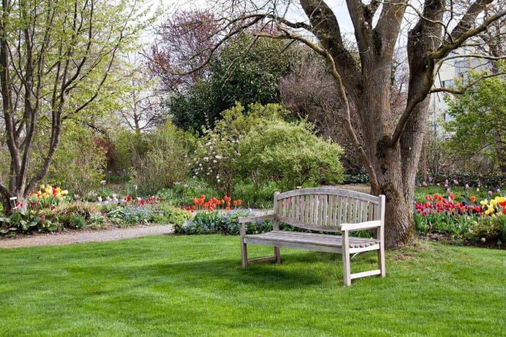 A bench in a backyard with a tree behind it