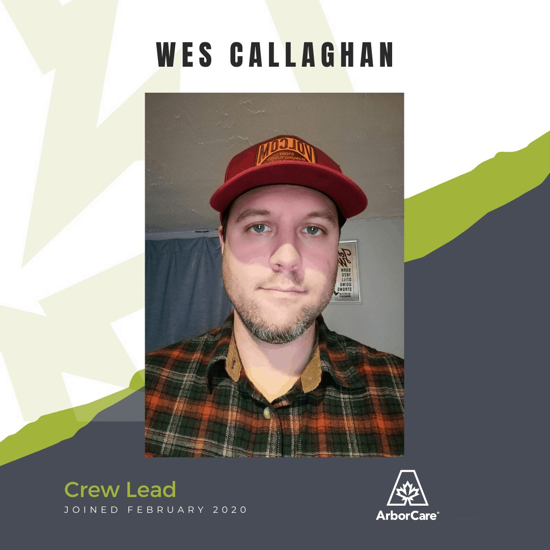 Wes Callaghan Employee Spotlight