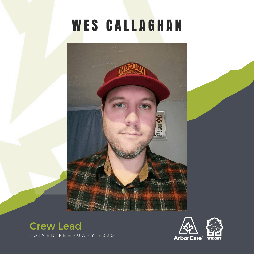 Wes Callaghan Employee Spotlight