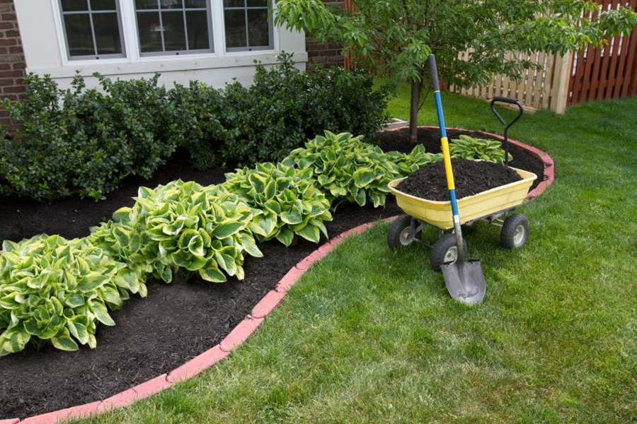 7 fun facts about mulch