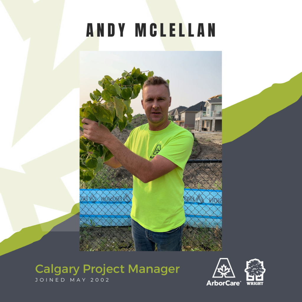 Andy McLellan Employee Spotlight 