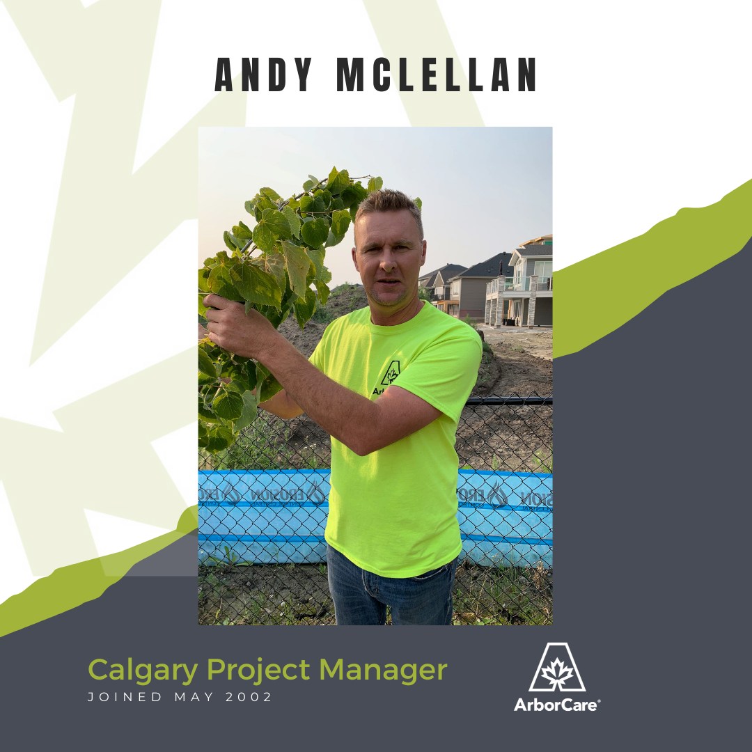 Andy McLellan Employee Spotlight 