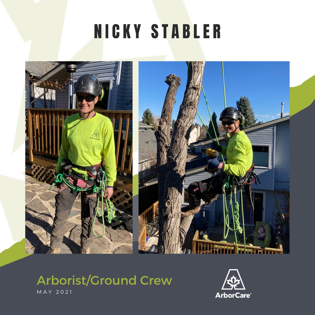 Nicky Stabler