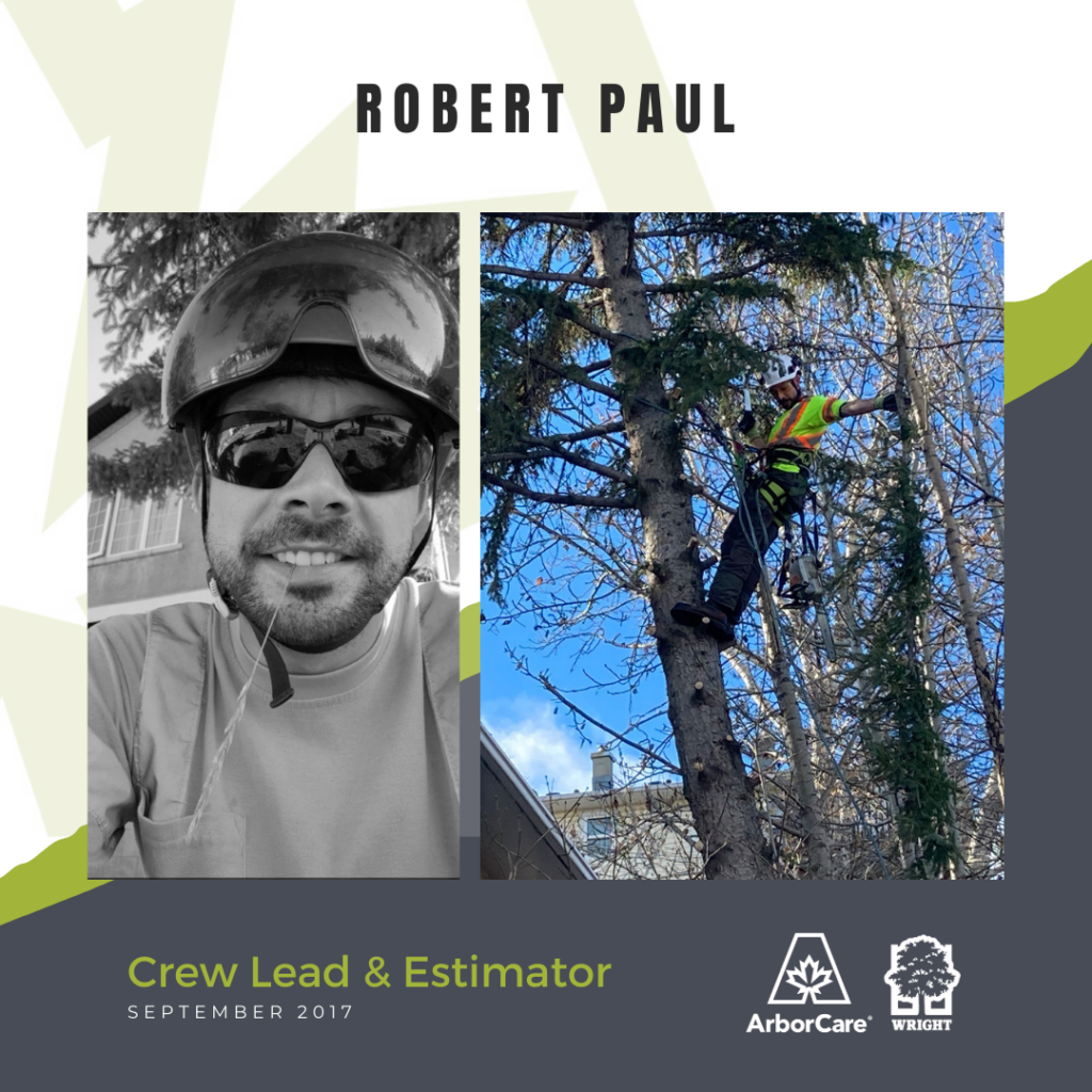 Robert Paul employee spotlight