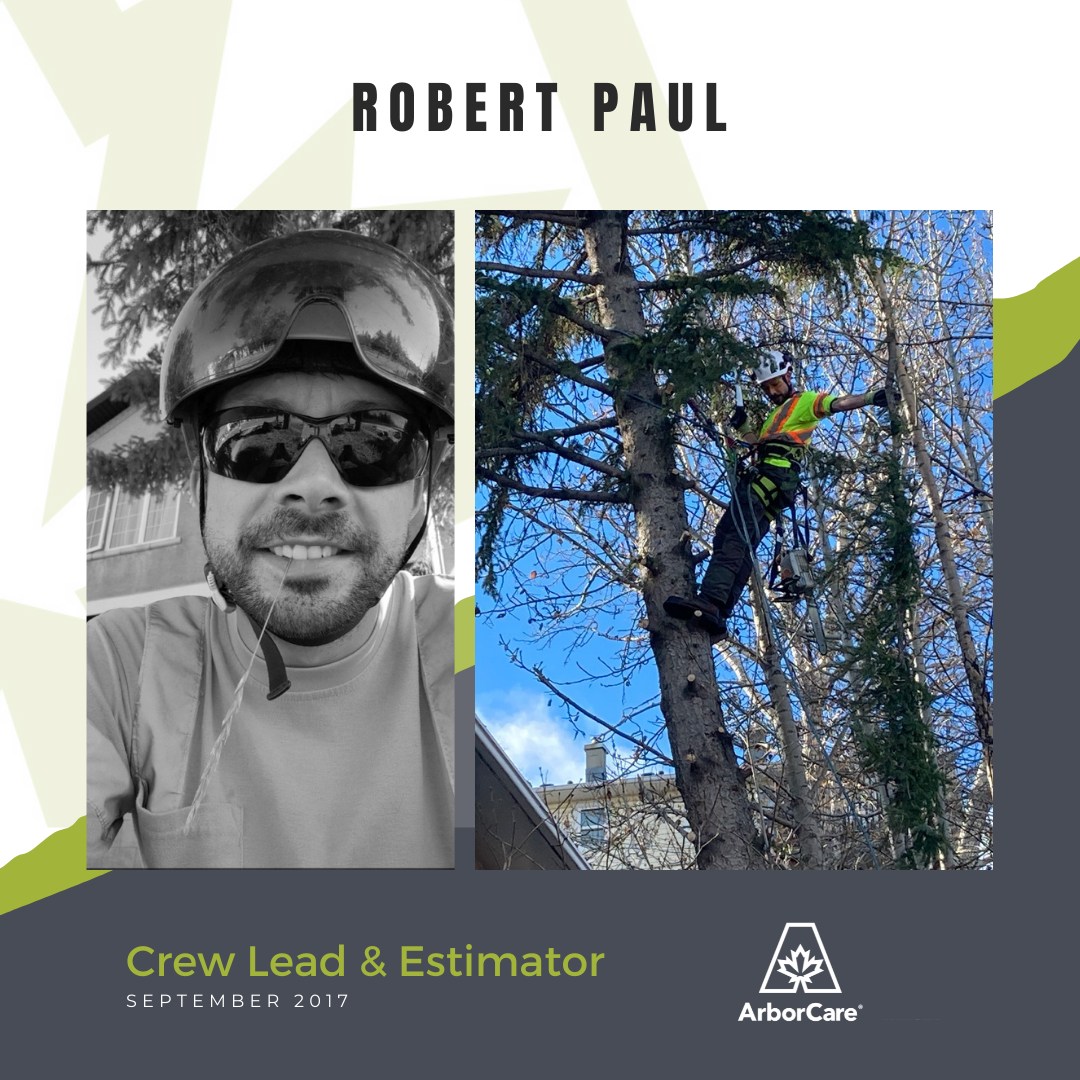 Robert Paul employee spotlight