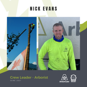 Nick Evans