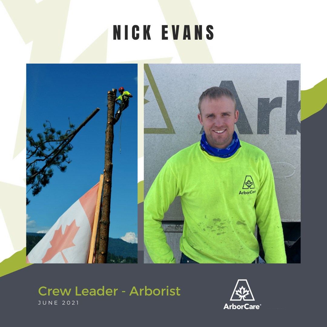 Nick Evans