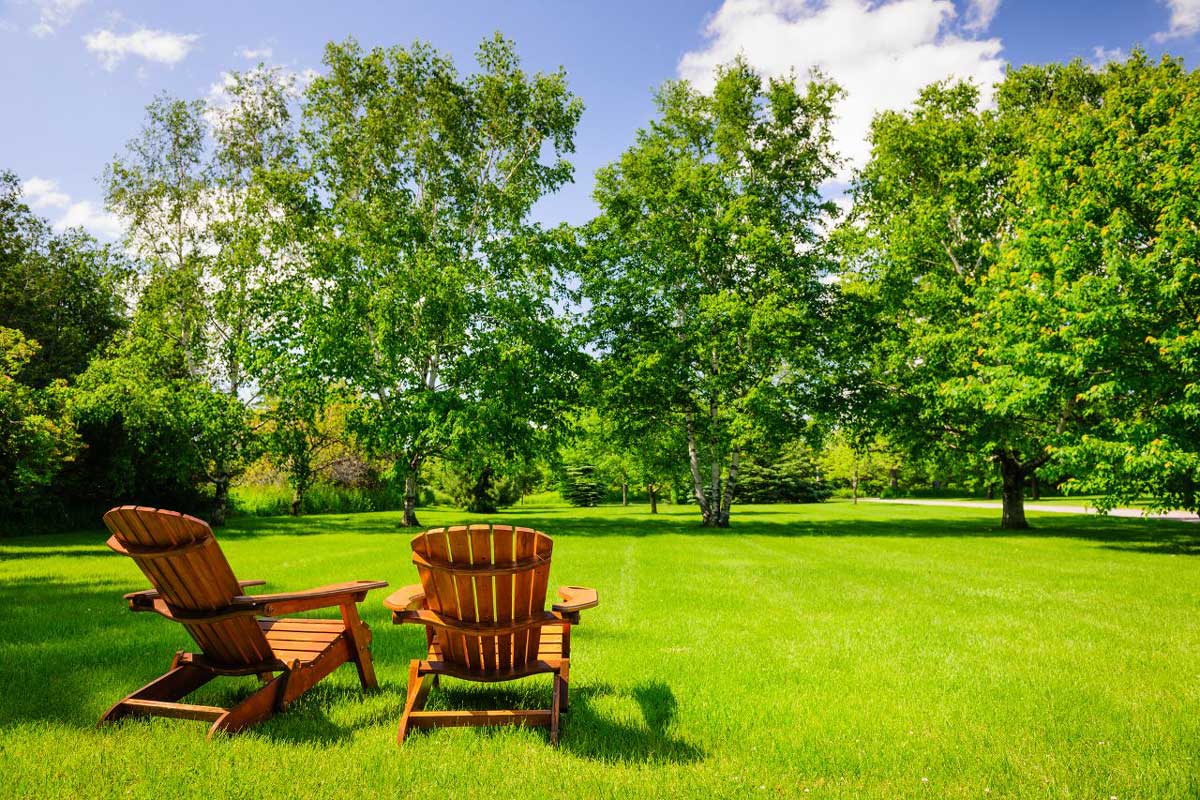 Generous backyard with two Muskoka chairs in the front