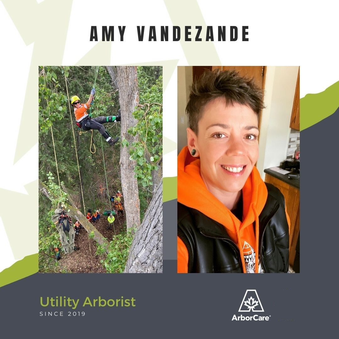 Amy Vandezande