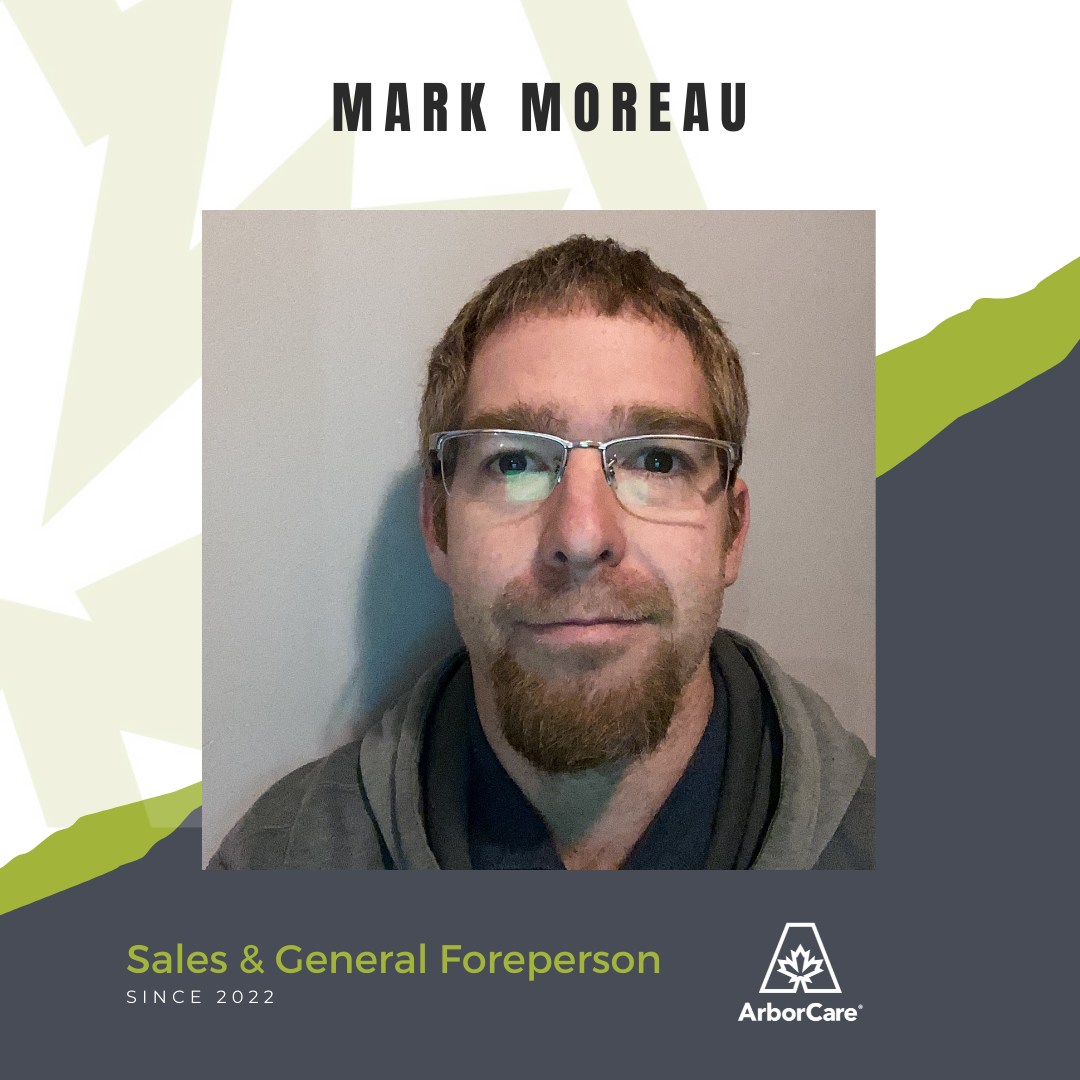 Mark Moreau