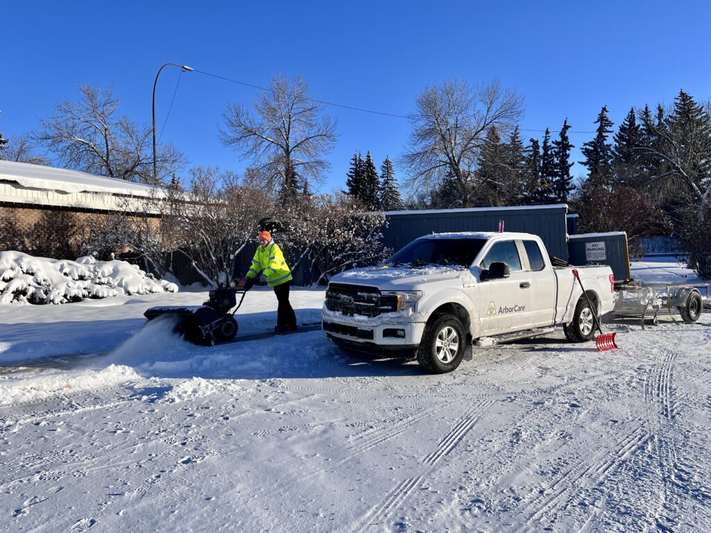 ArborCare snow removal clearing sidewalk